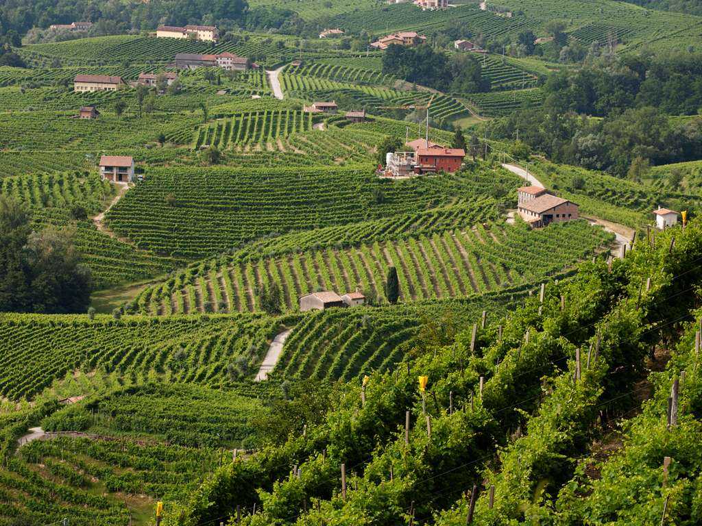 Strada del Prosecco